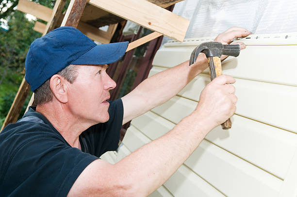 Best Siding Removal and Disposal  in Dauphin Island, AL