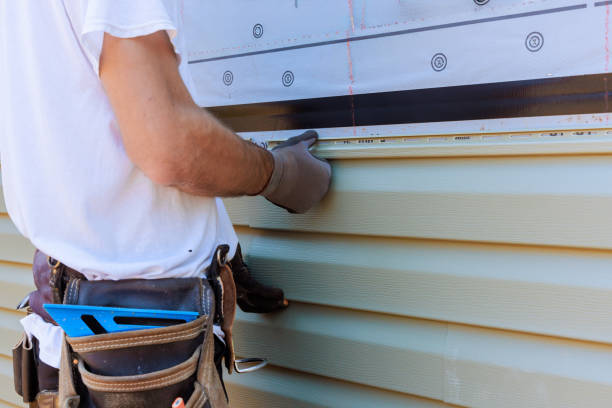 Best Vinyl Siding Installation  in Dauphin Island, AL